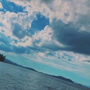 Meet your Posher, Audrey